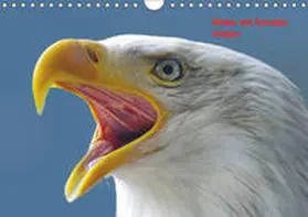 Pantke |  Alaska und Kanadas Westen (Wandkalender 2019 DIN A4 quer) | Sonstiges |  Sack Fachmedien