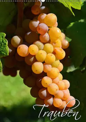 Mathias |  Trauben (Wandkalender 2019 DIN A2 hoch) | Sonstiges |  Sack Fachmedien