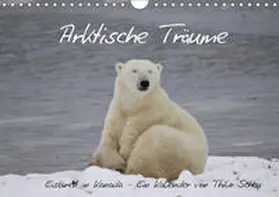 Scheu |  Arktische Träume - Eisbären in Kanada (Wandkalender 2019 DIN A4 quer) | Sonstiges |  Sack Fachmedien
