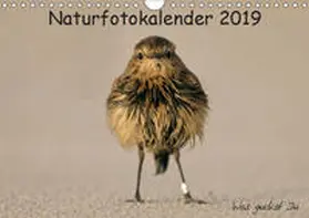 Hübner |  Naturfotokalender 2019 (Wandkalender 2019 DIN A4 quer) | Sonstiges |  Sack Fachmedien