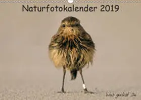 Hübner |  Naturfotokalender 2019 (Wandkalender 2019 DIN A3 quer) | Sonstiges |  Sack Fachmedien