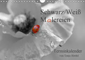 Riedel |  Schwarz-Weiß Malereien Terminkalender von Tanja Riedel (Wandkalender 2019 DIN A4 quer) | Sonstiges |  Sack Fachmedien