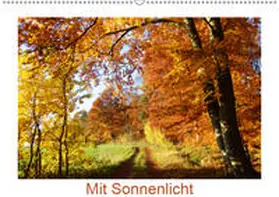 Schmidt |  Mit Sonnenlicht (Wandkalender 2019 DIN A2 quer) | Sonstiges |  Sack Fachmedien