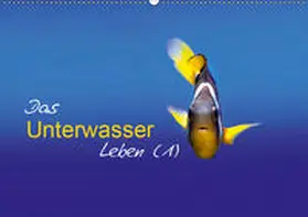 Mende |  Das Unterwasser Leben (1) (Wandkalender 2019 DIN A2 quer) | Sonstiges |  Sack Fachmedien
