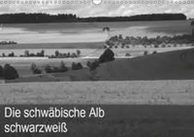 Haas |  Schwäbische Alb schwarzweiß (Wandkalender 2019 DIN A3 quer) | Sonstiges |  Sack Fachmedien