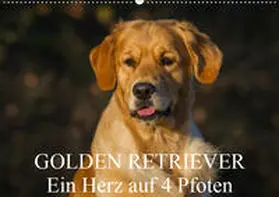 Starick |  Golden Retriever - Ein Herz auf 4 Pfoten (Wandkalender 2019 DIN A2 quer) | Sonstiges |  Sack Fachmedien