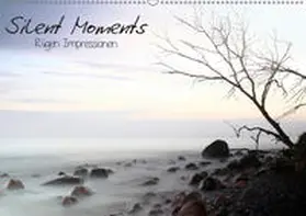Lehmann | Silent Moments (Wandkalender 2019 DIN A2 quer) | Sonstiges | 978-3-669-51902-1 | www.sack.de
