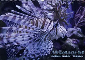 Hebbel-Seeger | Abgetaucht - Leben unter Wasser (Wandkalender 2019 DIN A2 quer) | Sonstiges | 978-3-669-51921-2 | www.sack.de