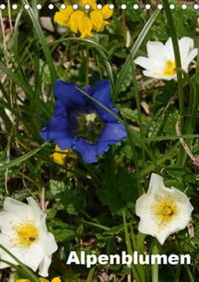 Haas |  Alpenblumen (Tischkalender 2019 DIN A5 hoch) | Sonstiges |  Sack Fachmedien