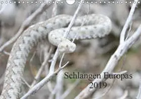 Wilms |  Schlangen Europas (Wandkalender 2019 DIN A4 quer) | Sonstiges |  Sack Fachmedien