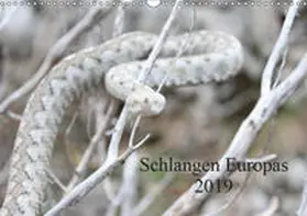 Wilms |  Schlangen Europas (Wandkalender 2019 DIN A3 quer) | Sonstiges |  Sack Fachmedien
