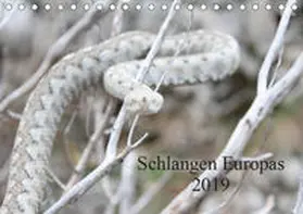 Wilms |  Schlangen Europas (Tischkalender 2019 DIN A5 quer) | Sonstiges |  Sack Fachmedien