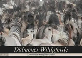 Mielewczyk | Dülmener Wildpferde - Lebensraum Meerfelder Bruch (Wandkalender 2019 DIN A2 quer) | Sonstiges | 978-3-669-52948-8 | www.sack.de