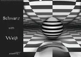 Manhart / manhART |  Schwarz trifft Weiß (Wandkalender 2019 DIN A2 quer) | Sonstiges |  Sack Fachmedien