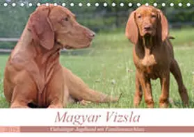 Mielewczyk |  Magyar Vizsla - Vielseitiger Jagdhund mit Familienanschluss (Tischkalender 2019 DIN A5 quer) | Sonstiges |  Sack Fachmedien