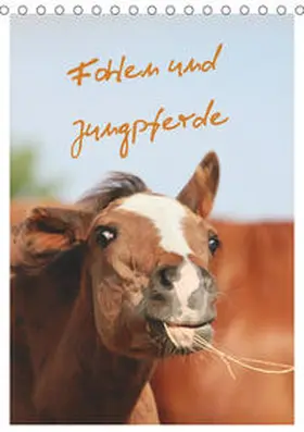 Mielewczyk |  Fohlen und Jungpferde (Tischkalender 2019 DIN A5 hoch) | Sonstiges |  Sack Fachmedien