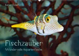 Kulartz |  Fischzauber - Wundervolle Aquarienfische (Wandkalender 2019 DIN A2 quer) | Sonstiges |  Sack Fachmedien