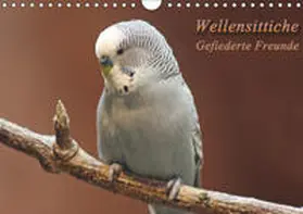 Mielewczyk |  Wellensittiche - Gefiederte Freunde (Wandkalender 2019 DIN A4 quer) | Sonstiges |  Sack Fachmedien