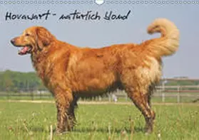 Mielewczyk | Hovawart - natürlich blond (Wandkalender 2019 DIN A3 quer) | Sonstiges | 978-3-669-53279-2 | www.sack.de