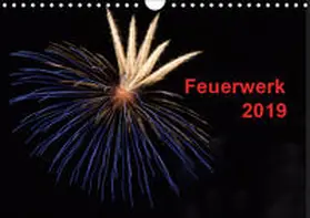 E. Klein |  Feuerwerk (Wandkalender 2019 DIN A4 quer) | Sonstiges |  Sack Fachmedien