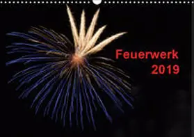 E. Klein |  Feuerwerk (Wandkalender 2019 DIN A3 quer) | Sonstiges |  Sack Fachmedien