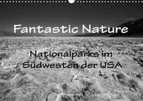 Müller |  Fantastic Nature - Nationalparks im Südwesten der USA (Wandkalender 2019 DIN A3 quer) | Sonstiges |  Sack Fachmedien