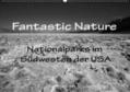 Müller |  Fantastic Nature - Nationalparks im Südwesten der USA (Wandkalender 2019 DIN A2 quer) | Sonstiges |  Sack Fachmedien