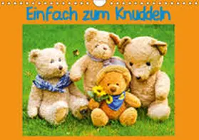 Sigwarth | Einfach zum Knuddeln (Wandkalender 2019 DIN A4 quer) | Sonstiges | 978-3-669-53761-2 | www.sack.de
