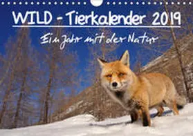 Colombo |  WILD - Tierkalender 2019 (Wandkalender 2019 DIN A4 quer) | Sonstiges |  Sack Fachmedien