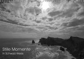 Huber |  Stille Momente in Schwarz-WeissCH-Version  (Wandkalender 2019 DIN A3 quer) | Sonstiges |  Sack Fachmedien
