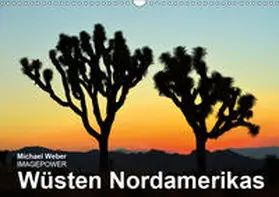Weber | Wüsten Nordamerikas (Wandkalender 2019 DIN A3 quer) | Sonstiges | 978-3-669-54341-5 | www.sack.de