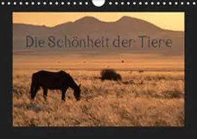 Olschner | Die Schönheit der Tiere (Wandkalender 2019 DIN A4 quer) | Sonstiges | 978-3-669-54491-7 | www.sack.de