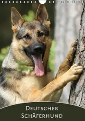 Steininger |  Deutscher Schäferhund (Wandkalender 2019 DIN A4 hoch) | Sonstiges |  Sack Fachmedien