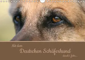 Steininger |  Mit dem Deutschen Schäferhund durch's Jahr (Wandkalender 2019 DIN A4 quer) | Sonstiges |  Sack Fachmedien