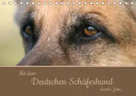 Steininger |  Mit dem Deutschen Schäferhund durch's Jahr (Tischkalender 2019 DIN A5 quer) | Sonstiges |  Sack Fachmedien