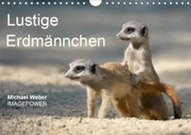 Weber | Lustige Erdmännchen (Wandkalender 2019 DIN A4 quer) | Sonstiges | 978-3-669-54787-1 | www.sack.de
