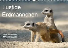 Weber |  Lustige Erdmännchen (Wandkalender 2019 DIN A3 quer) | Sonstiges |  Sack Fachmedien