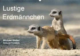 Weber | Lustige Erdmännchen (Wandkalender 2019 DIN A2 quer) | Sonstiges | 978-3-669-54789-5 | www.sack.de