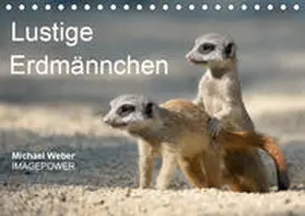Weber | Lustige Erdmännchen (Tischkalender 2019 DIN A5 quer) | Sonstiges | 978-3-669-54790-1 | www.sack.de
