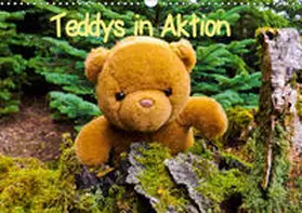 Sigwarth |  Teddys in AktionCH-Version  (Wandkalender 2019 DIN A3 quer) | Sonstiges |  Sack Fachmedien