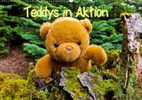 Sigwarth | Teddys in AktionCH-Version  (Wandkalender 2019 DIN A2 quer) | Sonstiges | 978-3-669-54869-4 | www.sack.de