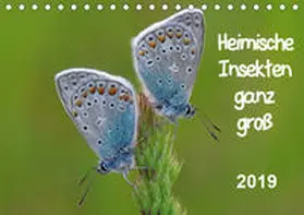 Wolf |  Heimische Insekten ganz GROSS (Tischkalender 2019 DIN A5 quer) | Sonstiges |  Sack Fachmedien