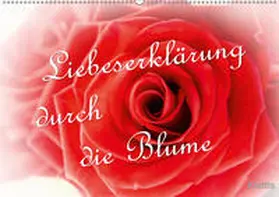 Klattis |  Liebeserklärung durch die Blume (Wandkalender 2019 DIN A2 quer) | Sonstiges |  Sack Fachmedien