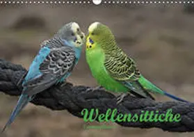 Lindert-Rottke |  Terminplaner Wellensittiche (Wandkalender 2019 DIN A3 quer) | Sonstiges |  Sack Fachmedien