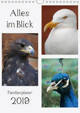 Lampert | Alles im Blick (Wandkalender 2019 DIN A4 hoch) | Sonstiges | 978-3-669-55940-9 | www.sack.de