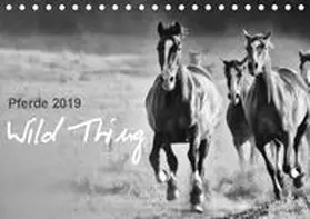 Peters |  Pferde 2019 Wild Thing (Tischkalender 2019 DIN A5 quer) | Sonstiges |  Sack Fachmedien