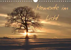 Engelhardt / Silvio |  Momente im Licht (Wandkalender 2019 DIN A4 quer) | Sonstiges |  Sack Fachmedien