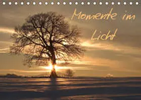 Engelhardt / Silvio |  Momente im Licht (Tischkalender 2019 DIN A5 quer) | Sonstiges |  Sack Fachmedien