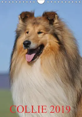 Starick | Collie 2019 (Wandkalender 2019 DIN A4 hoch) | Sonstiges | 978-3-669-56845-6 | www.sack.de