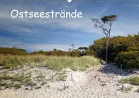 Deter |  Ostseestrände (Wandkalender 2019 DIN A2 quer) | Sonstiges |  Sack Fachmedien